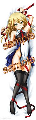 画像ギャラリー No.003のサムネイル画像 / アークシステムワークスがコミケで「BLAZBLUE」の抱き枕カバーなどを出展