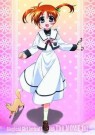 画像ギャラリー No.006のサムネイル画像 / 劇場版「魔法少女リリカルなのは」のトレーディングカードが12月22日に発売