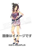 画像ギャラリー No.019のサムネイル画像 / 「ティアーズ・トゥ・ティアラII 覇王の末裔」，新たに4店舗の予約特典が公開。未完成だったデザインのカラー版も
