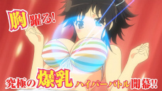 画像ギャラリー No.002のサムネイル画像 / このクッション,胸が……。「閃乱カグラ -少女達の真影-」のグッズ“飛鳥パフパフクッション”を真面目に紹介してみる