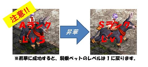 画像ギャラリー No.004のサムネイル画像 / 「LEGEND of VALHALLA」，騎乗ペットを強化する昇華専用アイテムが追加