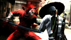 画像ギャラリー No.005のサムネイル画像 / 「NINJA GAIDEN 3」，初回特典は「DEAD OR ALIVE 5 体験版α.ver」のダウンロードができるシリアルコードに決定