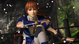 画像ギャラリー No.001のサムネイル画像 / 大人が楽しめるエンターテイメントを届けたい――「NINJA GAIDEN 3」の早矢仕プロデューサーが考えるアクションゲームの形とは