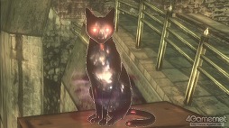 画像ギャラリー No.037のサムネイル画像 / ゲームに触れて感動したのは,もう何年ぶりだろう――今までない体験が味わえる「GRAVITY DAZE」をプレイムービーで紹介