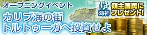 画像ギャラリー No.001のサムネイル画像 / 海洋貿易SLG「黄金航路」，本日Yahoo! Mobageにてサービス開始