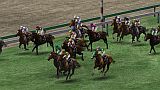 Champion Jockey: Gallop Racer＆GI Jockey