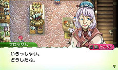 画像ギャラリー No.021のサムネイル画像 / 「ルーンファクトリー4」敵だけど仲良くしたい“モンスター”，お約束のお風呂もある“町の施設”の情報が公開