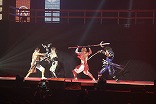 画像ギャラリー No.003のサムネイル画像 / 「バサラ祭り2013 〜春の陣〜」,DVD化が決定。先行予約が本日開始