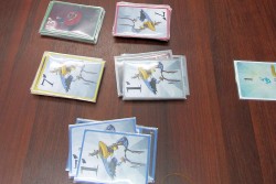 画像ギャラリー No.024のサムネイル画像 / アナログゲーム，西の祭典「ゲームマーケット2013大阪」。日本ボードゲーム大賞2012受賞作も発表されたイベントの模様をフォトレポートで紹介