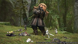 画像ギャラリー No.005のサムネイル画像 / MMORPGの面白さってなんだ？――オンラインゲーム開発のあれこれを語り尽くす「DQX」「FFXI」「FFXIV」プロデューサー座談会