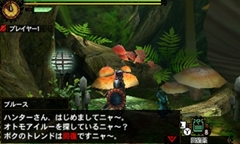 画像ギャラリー No.023のサムネイル画像 / 「モンスターハンター4」は,今までどおりの手触りですべてがステップアップした作品に。プロデューサー 辻本良三氏とディレクター 藤岡 要氏へのインタビューを掲載