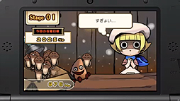 画像ギャラリー No.022のサムネイル画像 / 「真・女神転生IV」最新情報や「MH3G」用ツールなどが発表された，任天堂 岩田社長による「Nintendo 3DS Direct 2013.2.21」詳報
