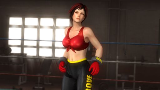 画像ギャラリー No.007のサムネイル画像 / 「DEAD OR ALIVE 5」,11キャラクター分のコスチュームを収録した無料DLC「追加コスチュームパック」が配信