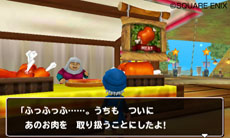 画像ギャラリー No.014のサムネイル画像 / 「ドラゴンクエストモンスターズ テリーのワンダーランド3D」本日発売。オリジナルストーリーやゲームクリア後に楽しめる要素が公開