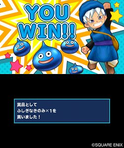 画像ギャラリー No.013のサムネイル画像 / 「ドラゴンクエストモンスターズ テリーのワンダーランド3D」レビュー。「ジョーカー」の血を受け継ぎ進化した，対戦ツールとしても満足度の高い「DQM」