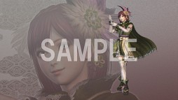 画像ギャラリー No.011のサムネイル画像 / 「無双OROCHI2」,最新DLCを公開。コラボタイトルの壁紙セットなどが登場