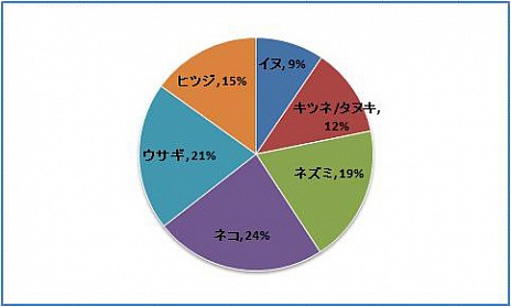 画像ギャラリー No.006のサムネイル画像 / 「Natal Online」，CBTのプレイデータの一部と，次回に向けてのプランを発表