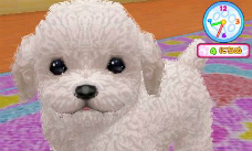 画像ギャラリー No.008のサムネイル画像 / ペット育成シミュレーション「かわいい仔犬3D」が12月15日発売。ミニチュアダックスフンドやトイプードルなど12犬種と一緒に遊べる