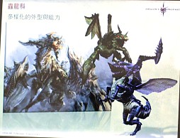 画像ギャラリー No.014のサムネイル画像 / 2012年，アエリアが満を持して贈る新作オンラインRPG「Dragon's Prophet」とは？　