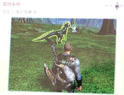 画像ギャラリー No.016のサムネイル画像 / 2012年，アエリアが満を持して贈る新作オンラインRPG「Dragon's Prophet」とは？　