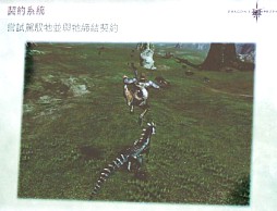 画像ギャラリー No.017のサムネイル画像 / 2012年，アエリアが満を持して贈る新作オンラインRPG「Dragon's Prophet」とは？　