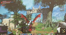 画像ギャラリー No.059のサムネイル画像 / 2012年，アエリアが満を持して贈る新作オンラインRPG「Dragon's Prophet」とは？　