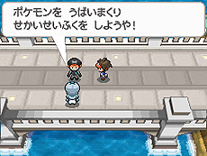 画像ギャラリー No.013のサムネイル画像 / 「ポケットモンスターブラック2・ホワイト2」，1人でも100人でも遊べる新機能「フェスミッション」システムほか最新情報を一挙公開