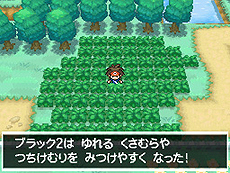 画像ギャラリー No.027のサムネイル画像 / 「ポケットモンスターブラック2・ホワイト2」，1人でも100人でも遊べる新機能「フェスミッション」システムほか最新情報を一挙公開