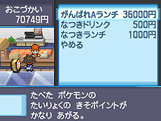 画像ギャラリー No.029のサムネイル画像 / 「ポケットモンスターブラック2・ホワイト2」，1人でも100人でも遊べる新機能「フェスミッション」システムほか最新情報を一挙公開