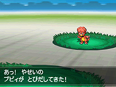 画像ギャラリー No.043のサムネイル画像 / 「ポケットモンスターブラック2・ホワイト2」，1人でも100人でも遊べる新機能「フェスミッション」システムほか最新情報を一挙公開