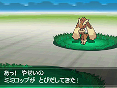 画像ギャラリー No.044のサムネイル画像 / 「ポケットモンスターブラック2・ホワイト2」，1人でも100人でも遊べる新機能「フェスミッション」システムほか最新情報を一挙公開