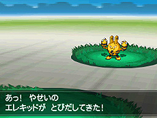 画像ギャラリー No.045のサムネイル画像 / 「ポケットモンスターブラック2・ホワイト2」，1人でも100人でも遊べる新機能「フェスミッション」システムほか最新情報を一挙公開
