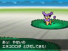 画像ギャラリー No.046のサムネイル画像 / 「ポケットモンスターブラック2・ホワイト2」，1人でも100人でも遊べる新機能「フェスミッション」システムほか最新情報を一挙公開