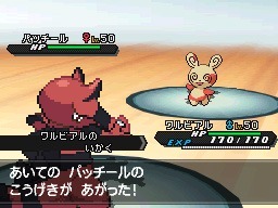 画像ギャラリー No.012のサムネイル画像 / 「ポケットモンスターブラック2・ホワイト2」のイベント情報と,「ポケモンワールドチャンピオンシップス2012」の映像が公開に