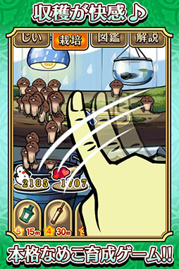 画像ギャラリー No.003のサムネイル画像 / 【PR】「アプリ&レビュー」2012年5月のAndroidゲームアクセスランキング,1位は「おさわり探偵なめこ栽培キット Seasons」!