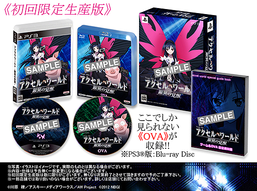 画像ギャラリー No.003のサムネイル画像 / バンナム，プレイヤーを“加速世界”へ誘うPS3/PSP「アクセル・ワールド -銀翼の覚醒-」を9月13日に発売。2部構成で展開されるシリーズの第1部