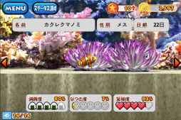画像ギャラリー No.004のサムネイル画像 / 「熱帯楽園」auスマートパスにて配信中,自分だけの水槽で熱帯魚を育てよう