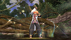 画像ギャラリー No.008のサムネイル画像 / 拡張ディスク「FFXI アドゥリンの魔境」が本日発売。すべての拡張ディスク追加シナリオ/コンテンツを収録した“究極”のパッケージ「ヴァナ・ディール コレクション4」も同時発売