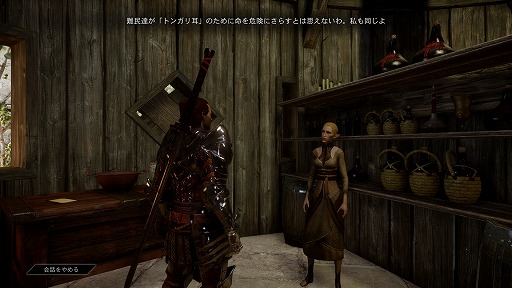 画像ギャラリー No.040のサムネイル画像 / これぞ王道! BioWareが放つ「ドラゴンエイジ:インクイジション」は,冬の夜長にはもってこいの「満漢全席」なアクションRPGだ