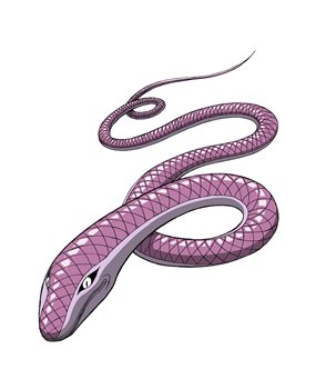 画像ギャラリー No.007のサムネイル画像 / 「トリコ グルメモンスターズ！」は12月13日に発売。主要な登場キャラクターや基本的なゲームシステムなどが公開に