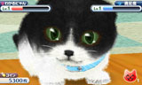 かわいい子猫3D