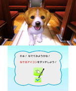 画像ギャラリー No.006のサムネイル画像 / 「オシャレでかわいい 子犬と遊ぼ！-海編-」が12月20日に発売。ペットの育成をしつつ，村民の依頼をクリアして村の発展を目指そう
