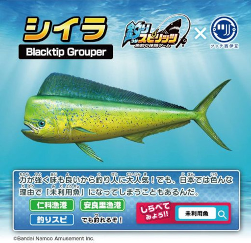 画像ギャラリー No.010のサムネイル画像 / 「釣りスピリッツ」,「ツッテ西伊豆」とコラボした“親子釣りプラン”の提供を開始