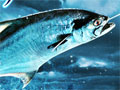 オンライン釣りゲーム「Fish Hunt 世界を釣れ！」を先行体験。気楽に釣りの面白さと緊張感が味わえる