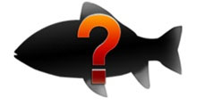 画像ギャラリー No.014のサムネイル画像 / 「Fish Hunt 世界を釣れ！」の正式サービスが本日スタート。上級者向けの魚「ハイエンドフィッシュ」が実装されたほか，有料アイテムの販売も開始