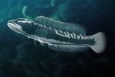 画像ギャラリー No.003のサムネイル画像 / 「Fish Hunt 世界を釣れ!」,東南アジアに位置する4つの釣り場を実装