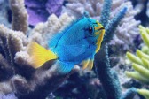 画像ギャラリー No.007のサムネイル画像 / 「Fish Hunt 世界を釣れ!」,東南アジアに位置する4つの釣り場を実装