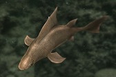 画像ギャラリー No.018のサムネイル画像 / 「Fish Hunt」，ヨーロッパを舞台にした「地中海 UPDATE-01」が実装