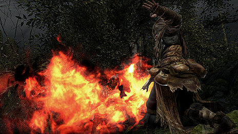 画像ギャラリー No.018のサムネイル画像 / 「DARK SOULS II」の世界設定や登場キャラの情報がスクリーンショットと共に公開。店舗別購入特典の有償配信はなくなり,ゲーム内で入手可能に