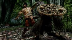 画像ギャラリー No.017のサムネイル画像 / 「DARK SOULS II」,4回目のネットワークテストを11月10日16:00〜19:00に追加実施。新たなスクリーンショットも多数公開